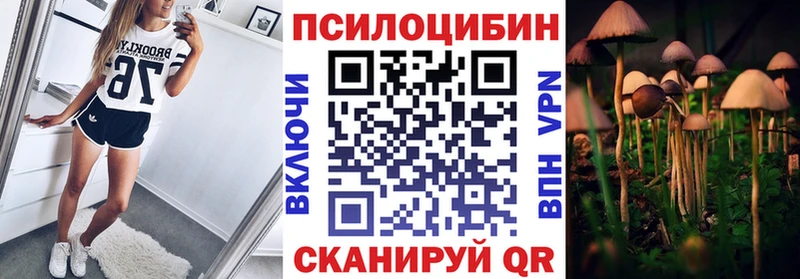 Псилоцибиновые грибы мицелий  блэк спрут зеркало  Белёв 